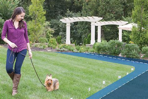 Exploring the Different Types of Magic Fences for Dogs